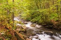 Little Pigeon River in the Pigeon Forge, Great Smoky Mountains national park Royalty Free Stock Photo