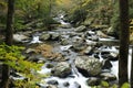 Little Pigeon River in Smoky Mountains