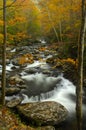 Little Pigeon River at Tremont in Great Smoky Mountains Royalty Free Stock Photo