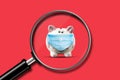 Little piggy bank on a red background. View through a magnifying glass. Decrease in accumulations. Business Royalty Free Stock Photo