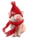 A little Piggy in a red hat and a scarf