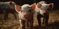 Little piglets close-up, agriculture theme. Horizontal shot. Generative AI