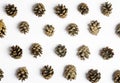 Little pine cones on a white background with shadows for christmas decoration