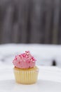 Little Pink Mini Cupcake in Snow