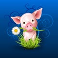 Little pink pig in grass over blue Royalty Free Stock Photo