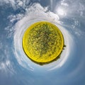 Little planet spherical panorama 360 degrees. Spherical aerial view in blooming in field rapseed canola colza. Curvature of space