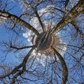 Little planet spherical panorama 360 degrees. Spherical aerial view in blooming apple garden orchard with dandelions. Curvature