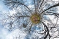 Little planet spherical panorama 360 degrees. Spherical aerial view in forest in nice day. Curvature of space