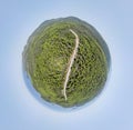 Little planet - spherical view of curvy road surrounded with forest. Drone aerial tiny planet