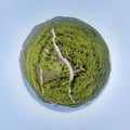 Little planet - spherical view of curvy road surrounded with forest. Drone aerial tiny planet