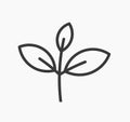 Little plant leaves line icon