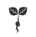 Little plant seedling icon