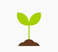 Little plant seedling icon. Spring plant Royalty Free Stock Photo