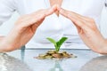 Little plant sprouting from pile of coins Royalty Free Stock Photo