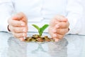 Little plant sprouting from pile of coins Royalty Free Stock Photo