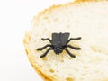 Little plastic fly (bug) on bread Royalty Free Stock Photo
