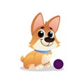 Little playful corgi with ball. Cartoon dog with big shiny eyes. Cheerful pet invites to play toy. Domestic animal