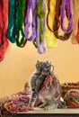 Little playful kitten with colorful thread balls. Nice kitten playing clew or woolen ball