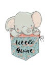 Little pocket elephant