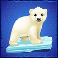 Little polar bear on an ice floe Royalty Free Stock Photo