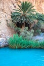 Little pond in Chebika oasis at border of Sahara, Tunisia, Africa