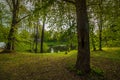 Little pond in forest, charming spring