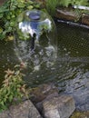 Little Pond in a Lancashire Garden