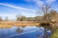 Little pond in the nature area Drents-Friese Wold Royalty Free Stock Photo