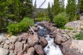 Little Popo Agie River, near Lander, Wyoming Royalty Free Stock Photo