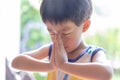 A little prayer, A boy is praying seriously and hopefully to Jesus