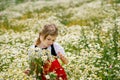 Little preschool girl in daisy flower field. Cute happy child in red riding hood dress play outdoor on blossom flowering Royalty Free Stock Photo