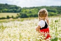 Little preschool girl in daisy flower field. Cute happy child in red riding hood dress play outdoor on blossom flowering Royalty Free Stock Photo