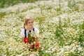 Little preschool girl in daisy flower field. Cute happy child in red riding hood dress play outdoor on blossom flowering Royalty Free Stock Photo