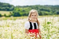 Little preschool girl in daisy flower field. Cute happy child in red riding hood dress play outdoor on blossom flowering Royalty Free Stock Photo