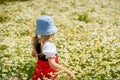 Little preschool girl in daisy flower field. Cute happy child in red riding hood dress play outdoor on blossom flowering Royalty Free Stock Photo