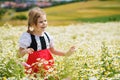 Little preschool girl in daisy flower field. Cute happy child in red riding hood dress play outdoor on blossom flowering Royalty Free Stock Photo