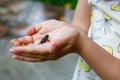 Little preschool girl holding small wild frog. Happy curious child watching and exploring animals in nature. Royalty Free Stock Photo