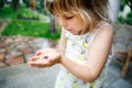 Little preschool girl holding small wild frog. Happy curious child watching and exploring animals in nature. Royalty Free Stock Photo