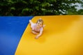 Little preschool girl jumping on trampoline. Happy funny toddler child having fun with outdoor activity in summer Royalty Free Stock Photo