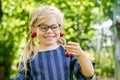 Little preschool girl picking and eating ripe cherries from tree in garden. Happy child with glasses holding fresh Royalty Free Stock Photo