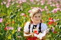 Little preschool girl in poppy field. Cute happy child in red riding hood dress play outdoor on blossom flowering meadow Royalty Free Stock Photo