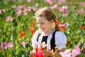 Little preschool girl in poppy field. Cute happy child in red riding hood dress play outdoor on blossom flowering meadow Royalty Free Stock Photo