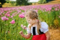 Little preschool girl in poppy field. Cute happy child in red riding hood dress play outdoor on blossom flowering meadow