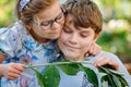 Little preschool girl and school kid boy watch caterpillar climb on plant. Happy excited children, siblings, brother and Royalty Free Stock Photo