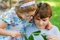 Little preschool girl and school kid boy watch caterpillar climb on plant. Happy excited children, siblings, brother and Royalty Free Stock Photo