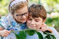 Little preschool girl and school kid boy watch caterpillar climb on plant. Happy excited children, siblings, brother and Royalty Free Stock Photo