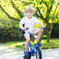 Little preschool kid boy riding with bicycle in summer Royalty Free Stock Photo