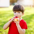 Little preschooler boy eat apple, Royalty Free Stock Photo