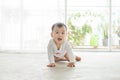 Little pretty baby girl crawling on the floor at home Royalty Free Stock Photo