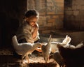 Little pretty girl feeding white chicken in henhouse on sunny day